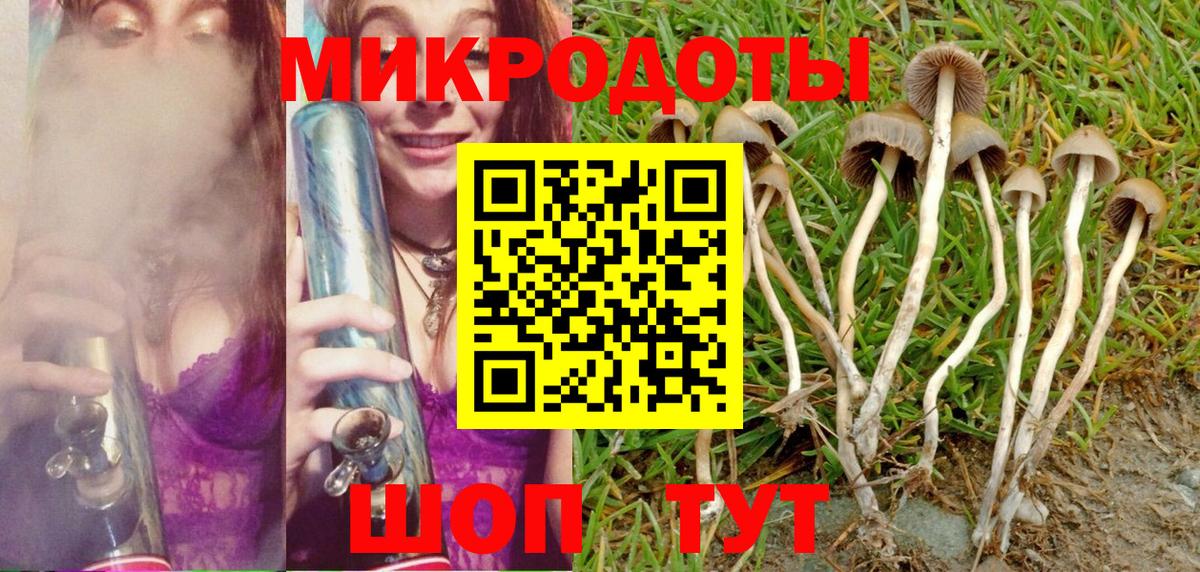 Галлюциногенные грибы Magic Shrooms Реутов