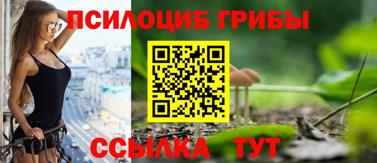 Реутов  Псилоцибиновые грибы Psilocybe  Вход с VPN 